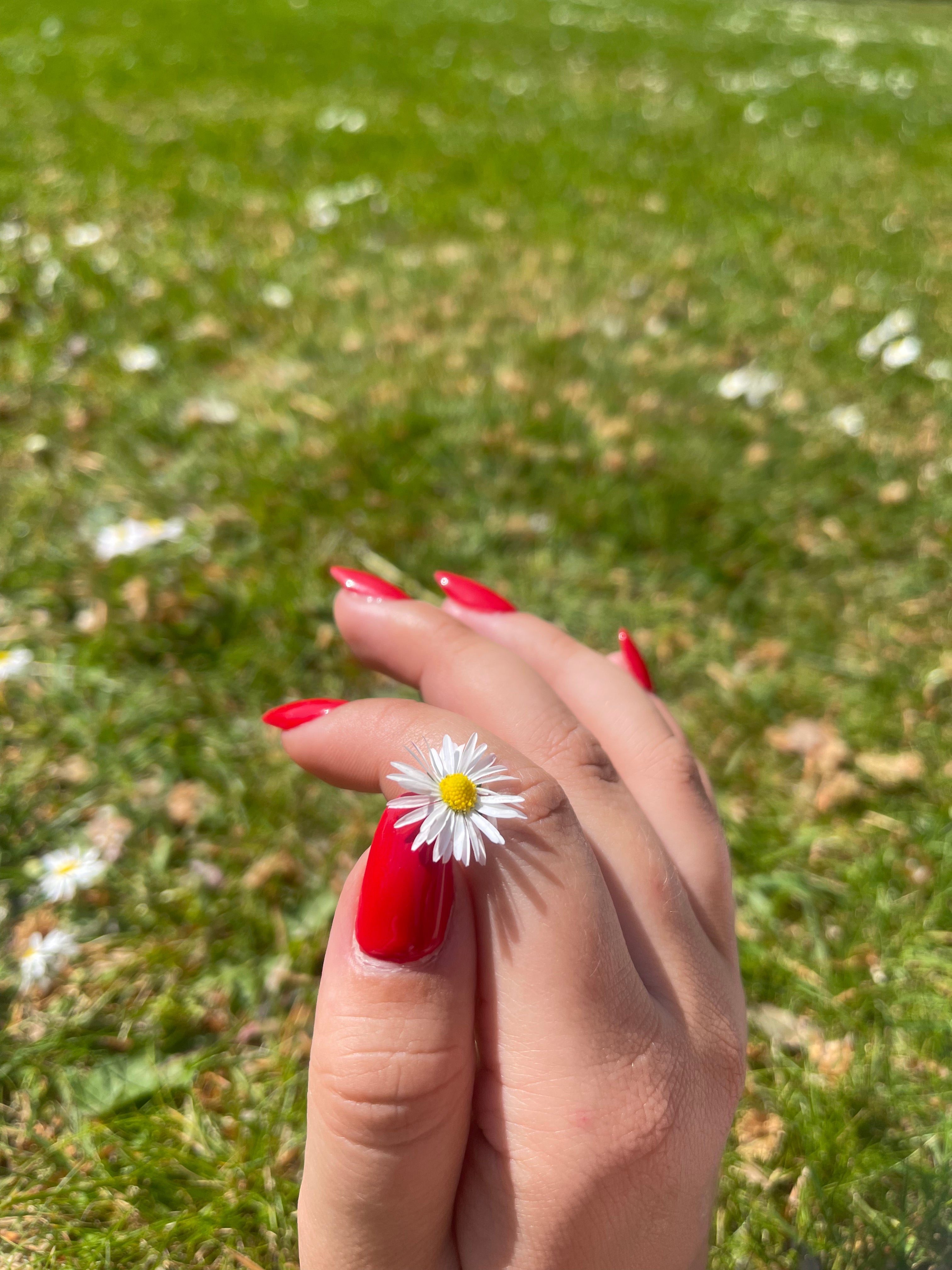 Gel polish • Screaming red • No. 05